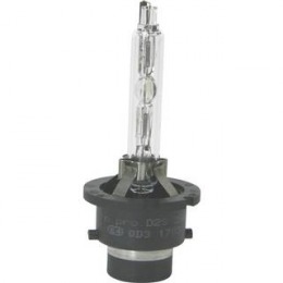 AMPOULE XENON D2S