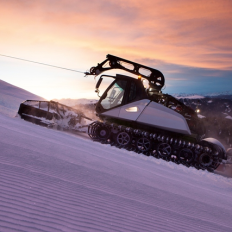 dameuse_new_leitwolf_au_crepuscule