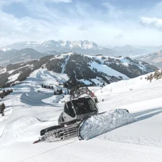 leitwolf_2-media--aa5d92e7--query2x19df19d4