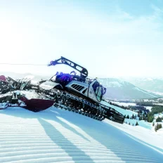 leitwolf_5-media--aa5d92e7--query2x6fadaac9